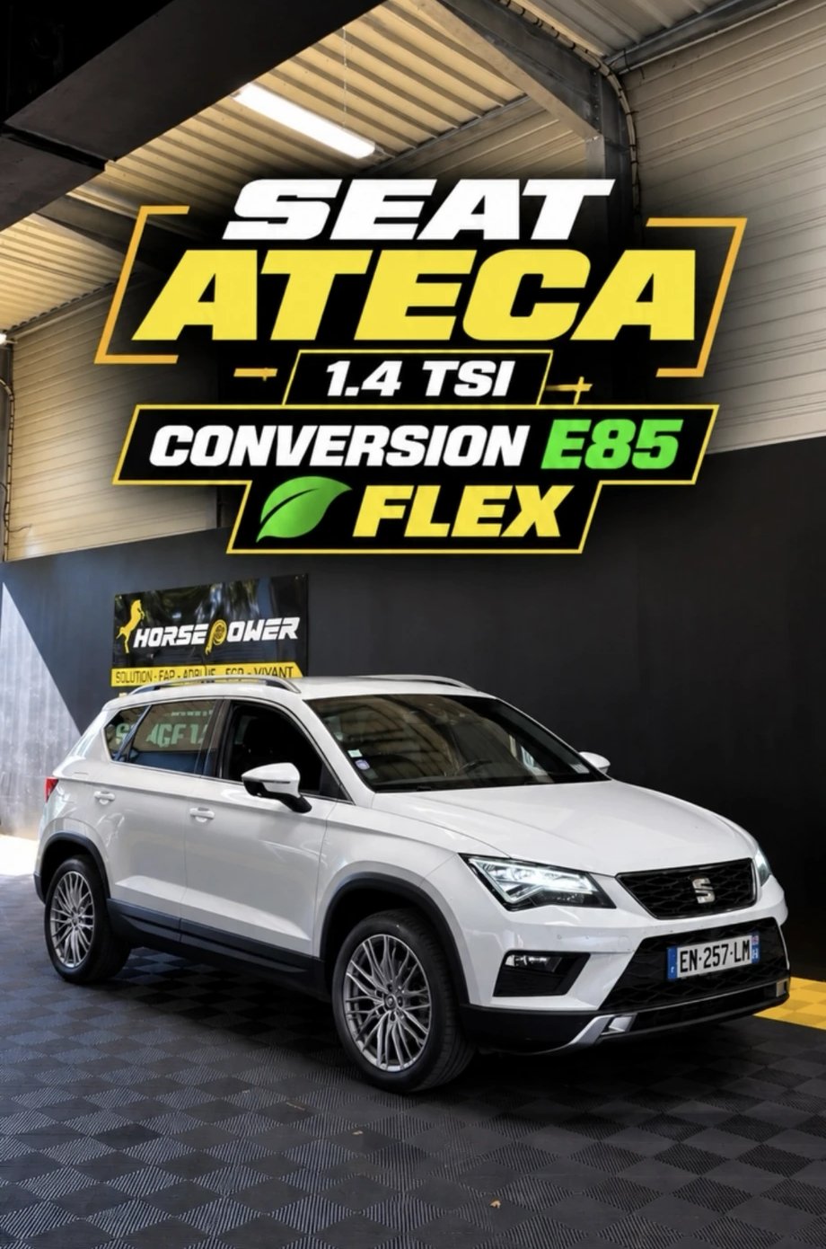 Conversion E85 / FlexFuel